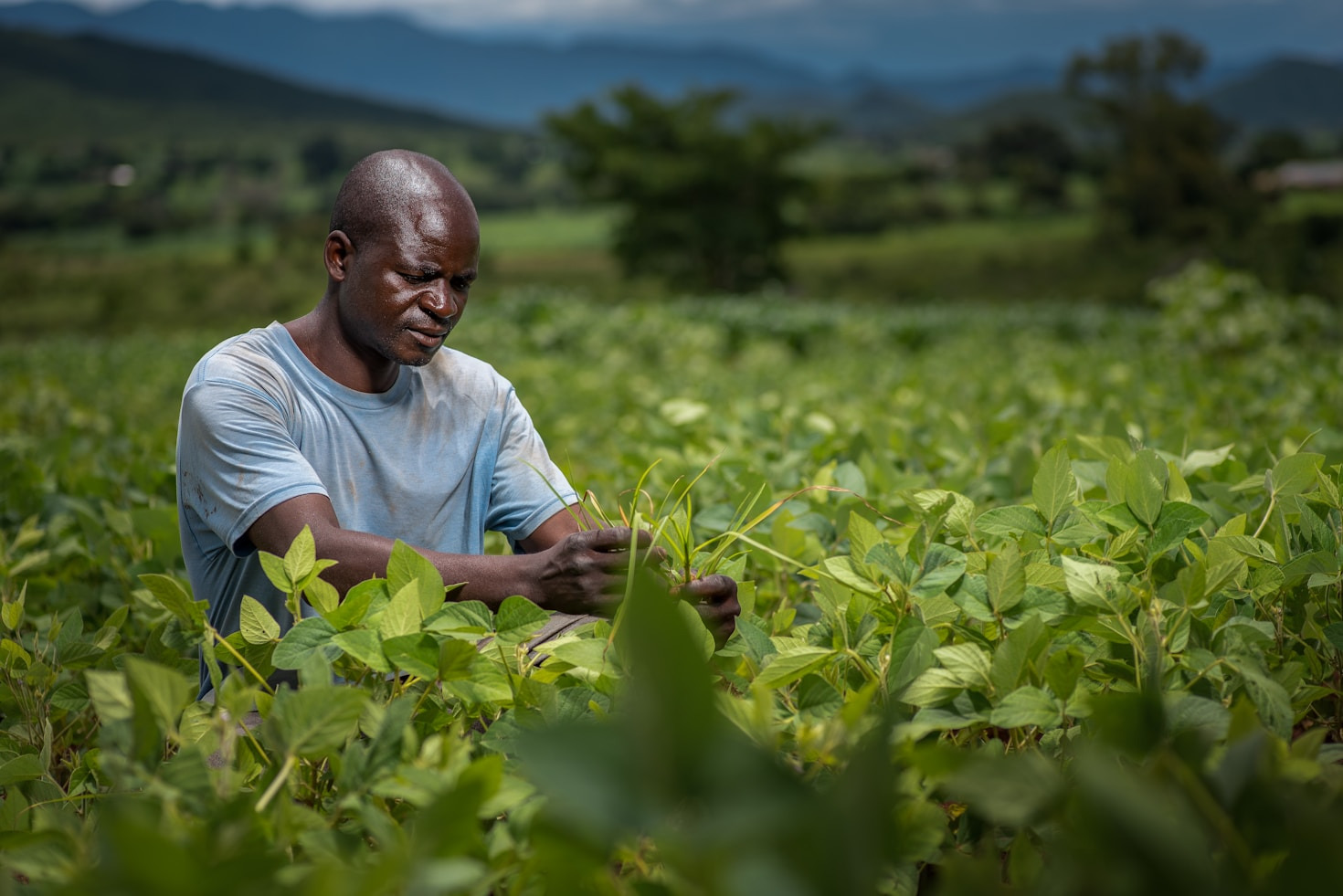 How Humanitarian Work Changes Lives Daily